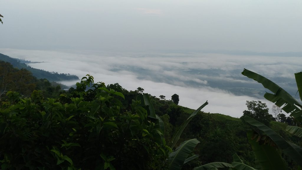 Bandarban Green Peak Resort বান্দরবন